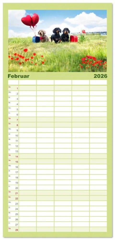 Bild: 9783516607147 | Familienplaner 2026 - Dackel unterwegs mit 5 Spalten (Wandkalender,...