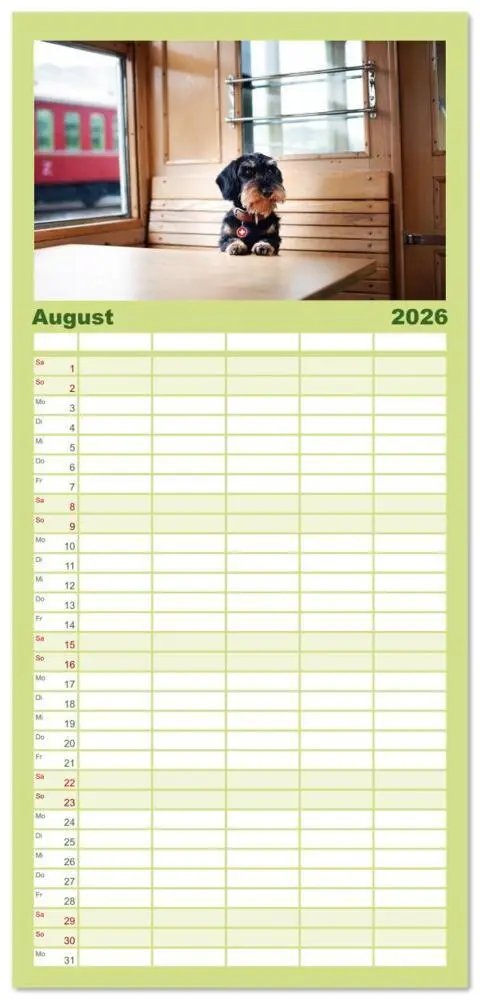 Bild: 9783516607147 | Familienplaner 2026 - Dackel unterwegs mit 5 Spalten (Wandkalender,...