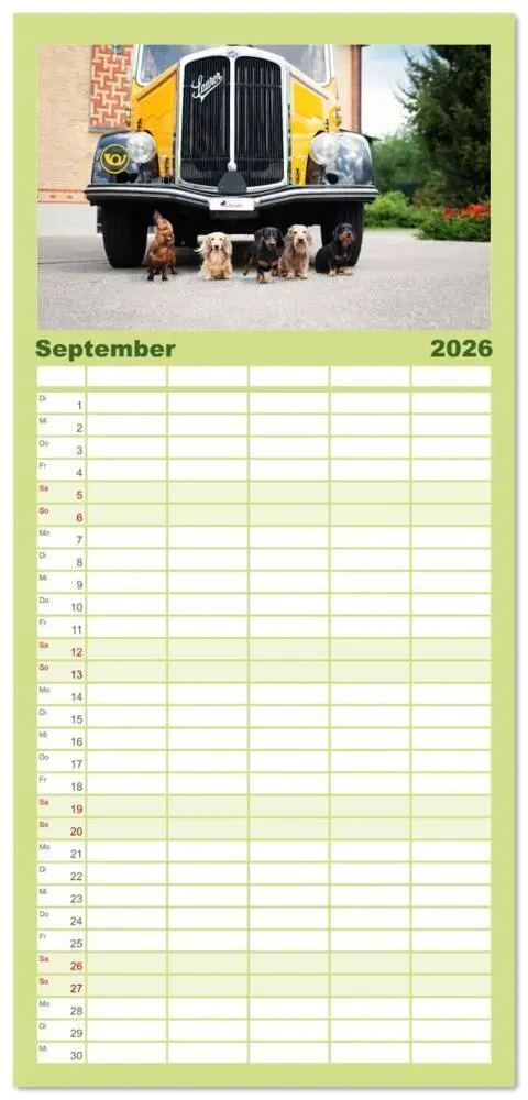 Bild: 9783516607147 | Familienplaner 2026 - Dackel unterwegs mit 5 Spalten (Wandkalender,...