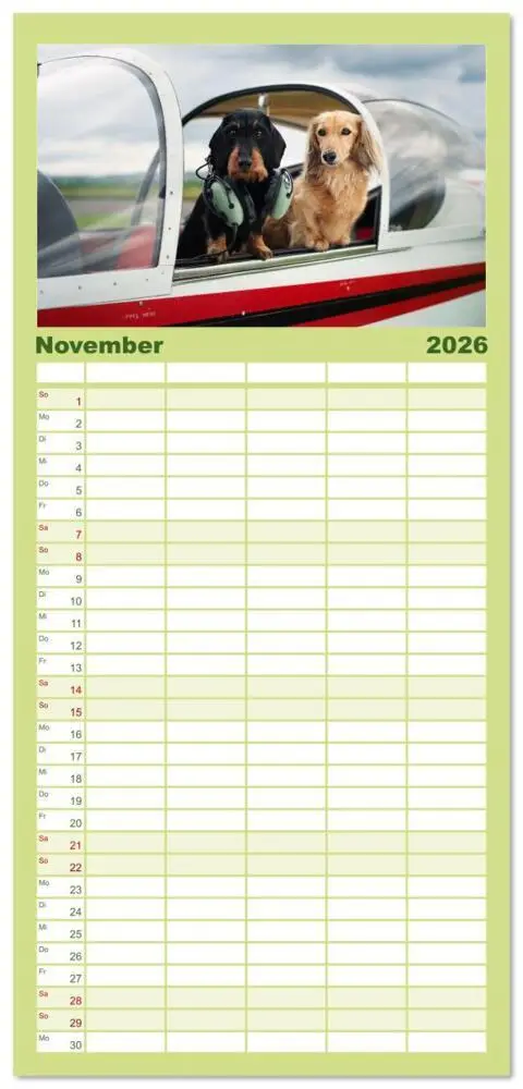 Bild: 9783516607147 | Familienplaner 2026 - Dackel unterwegs mit 5 Spalten (Wandkalender,...