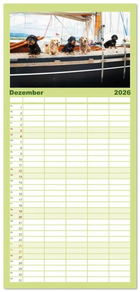 Bild: 9783516607147 | Familienplaner 2026 - Dackel unterwegs mit 5 Spalten (Wandkalender,...
