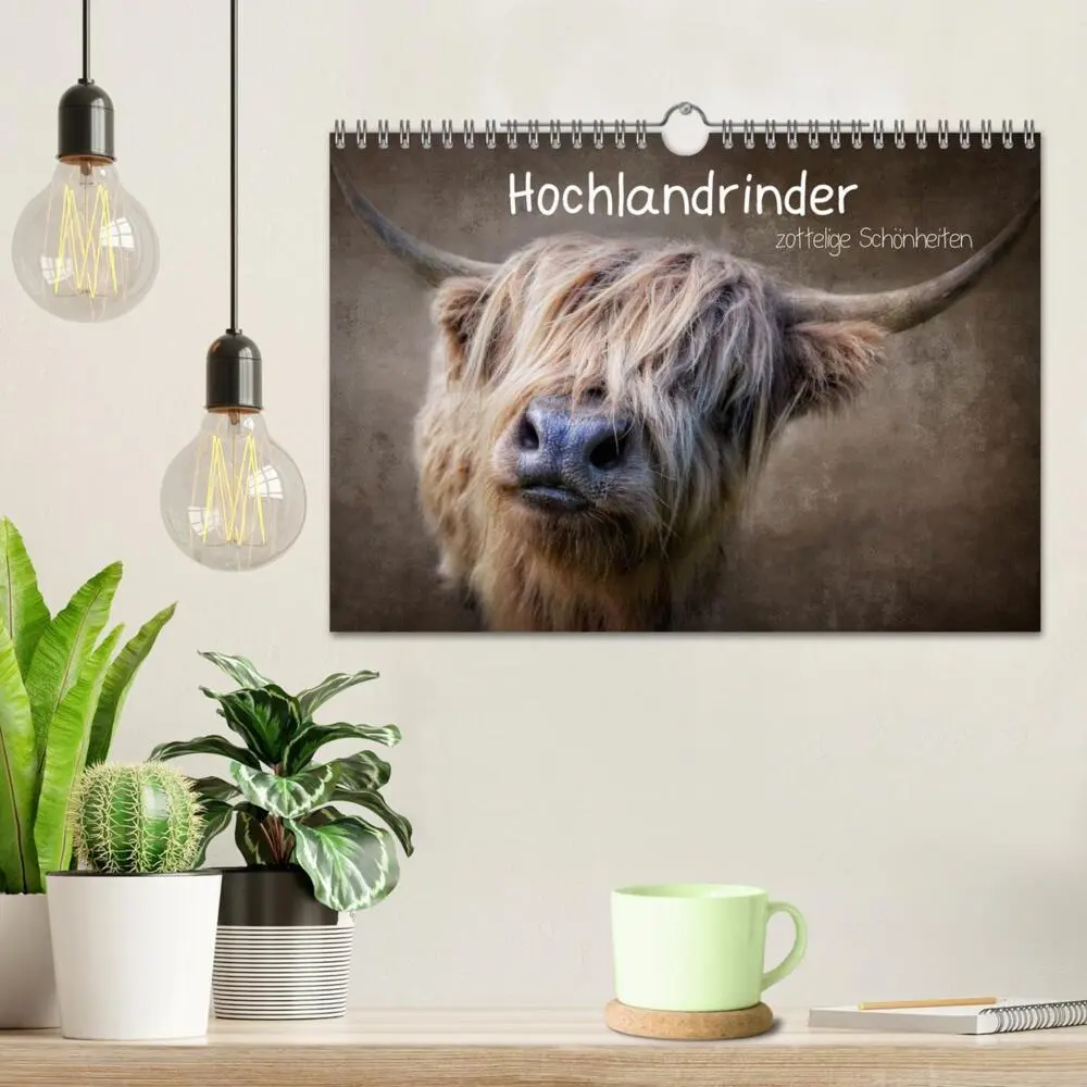 Bild: 9783435037247 | Hochlandrinder - Zottelige Schönheiten (Wandkalender 2025 DIN A4...