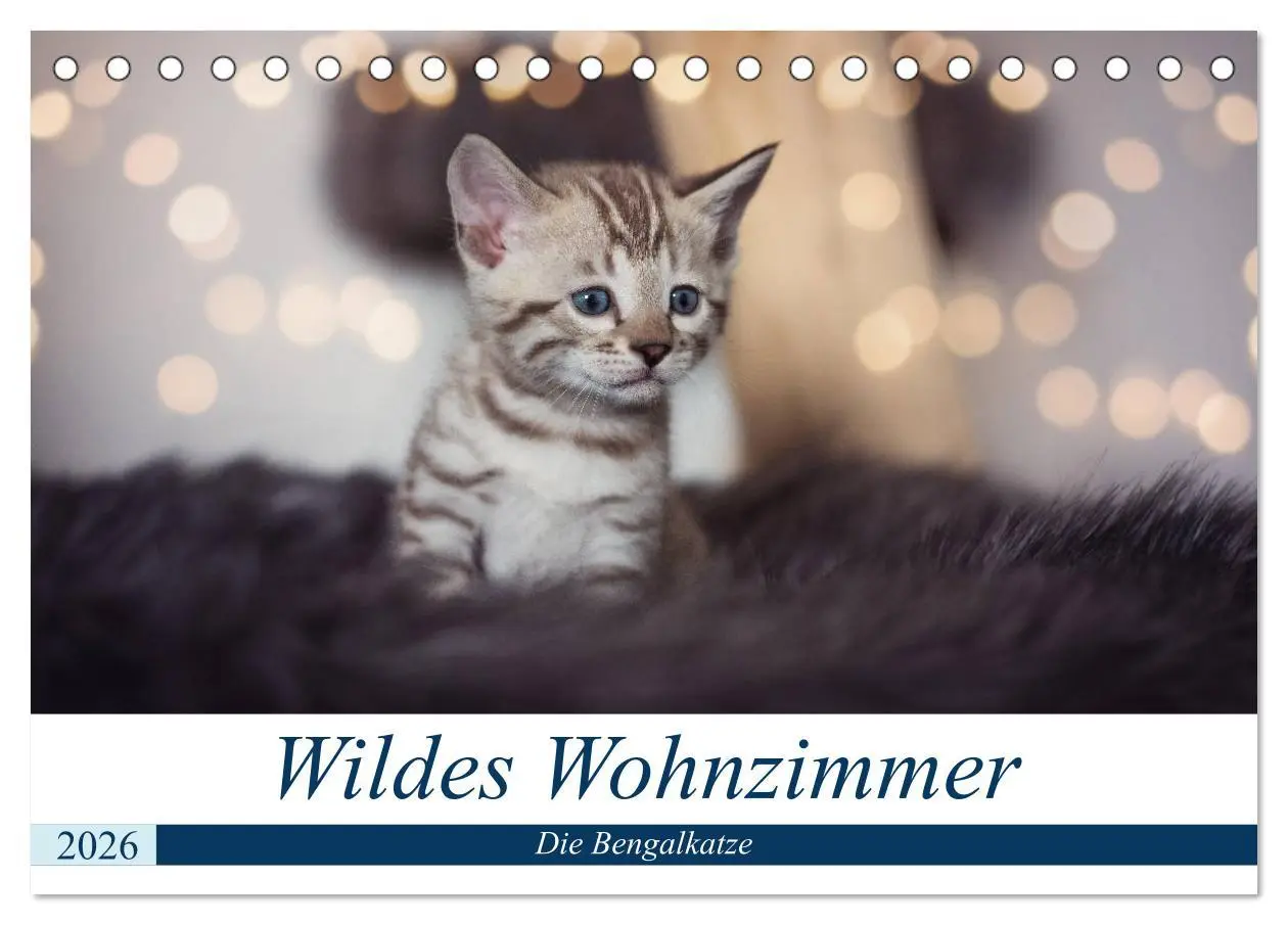 Cover: 9783457747247 | Wildes Wohnzimmer - Die Bengalkatze (Tischkalender 2026 DIN A5...