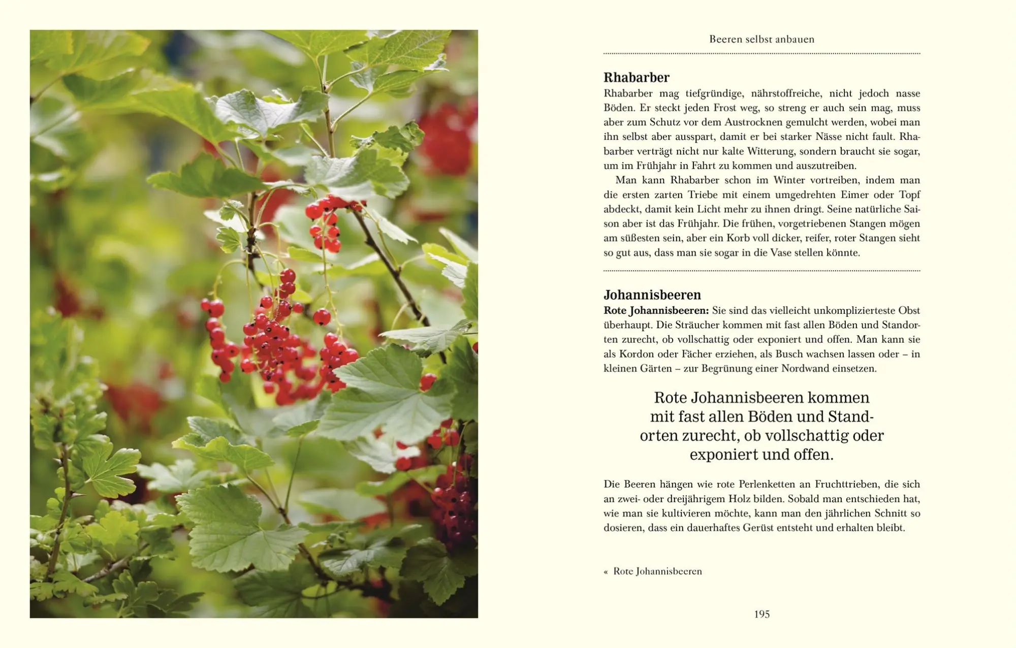 Bild: 9783831037247 | Über das Gärtnern | Monty Don | Buch | 272 S. | Deutsch | 2019