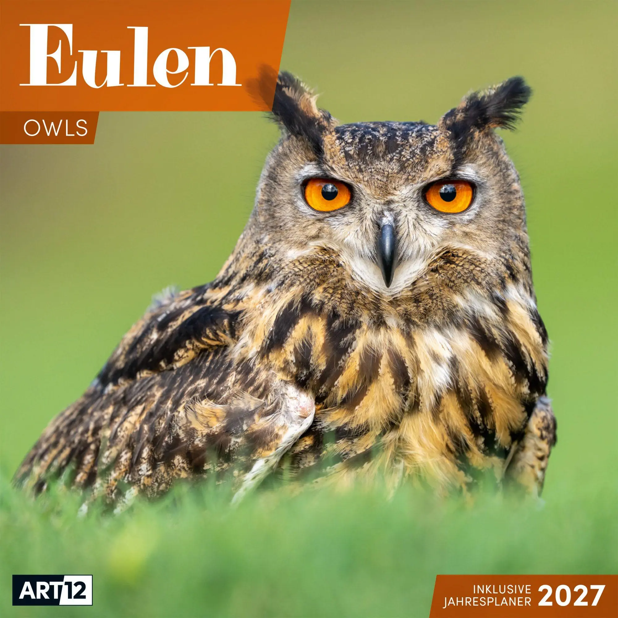 Cover: 9783838447247 | Eulen Kalender 2027 - 30x30 - Art12 | Ackermann Kunstverlag GmbH