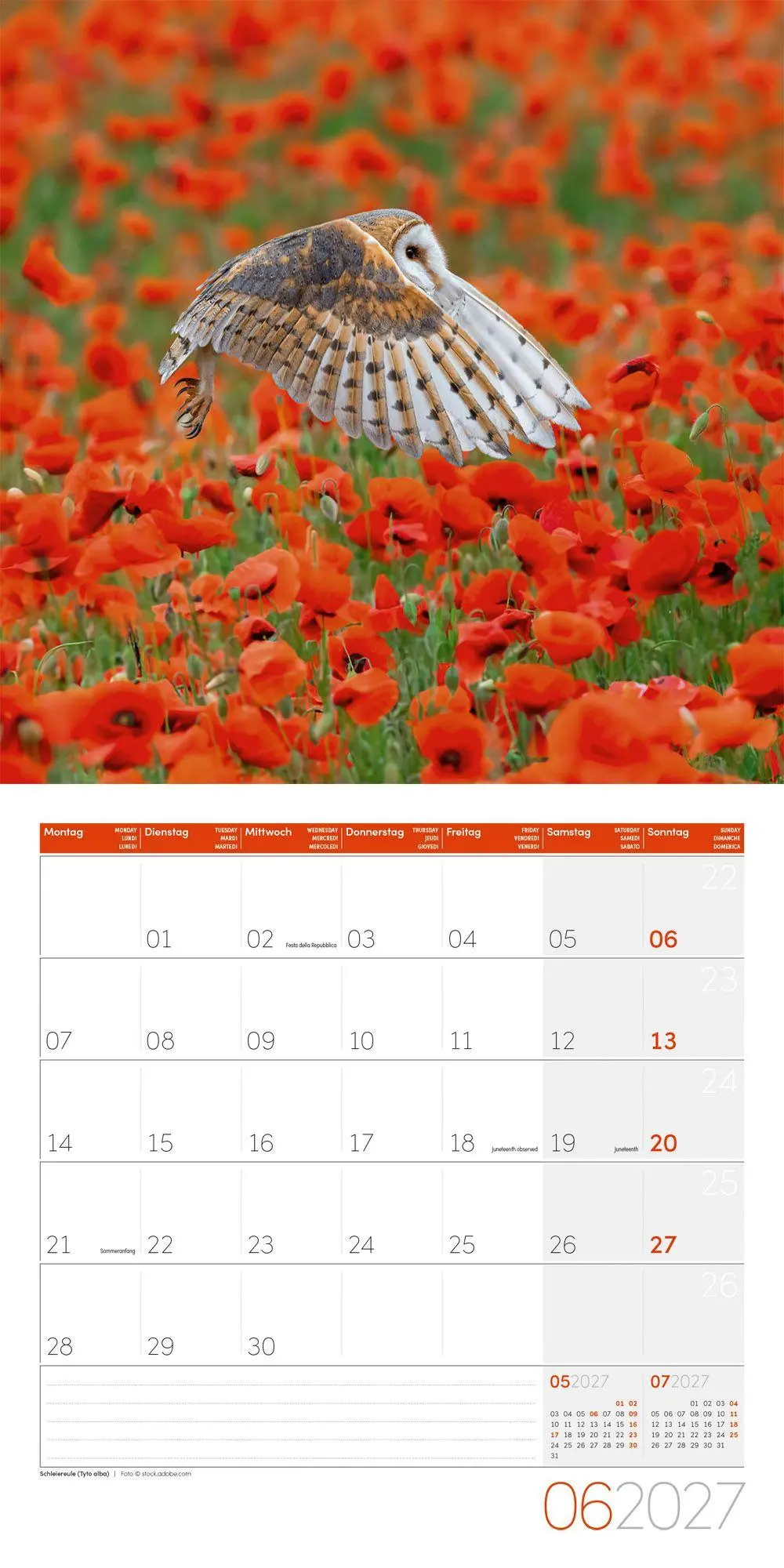 Bild: 9783838447247 | Eulen Kalender 2027 - 30x30 - Art12 | Ackermann Kunstverlag GmbH