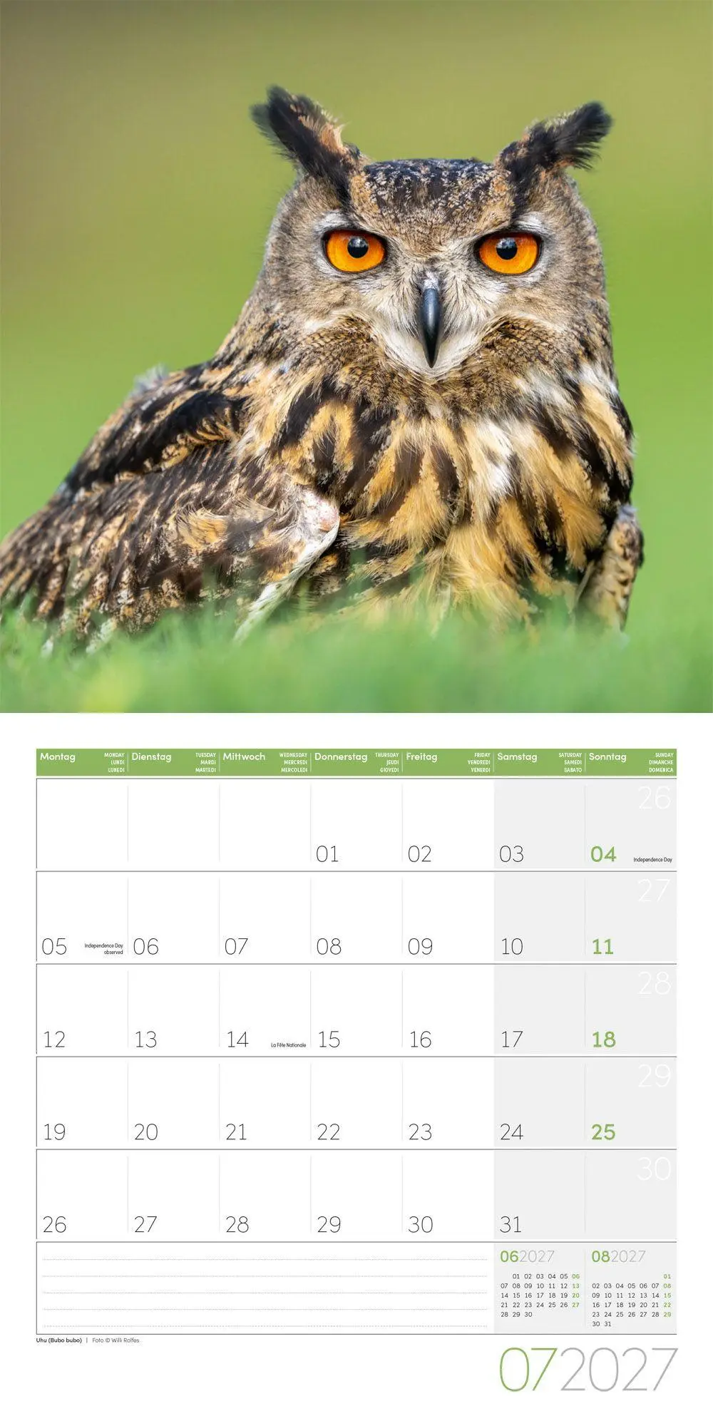 Bild: 9783838447247 | Eulen Kalender 2027 - 30x30 - Art12 | Ackermann Kunstverlag GmbH