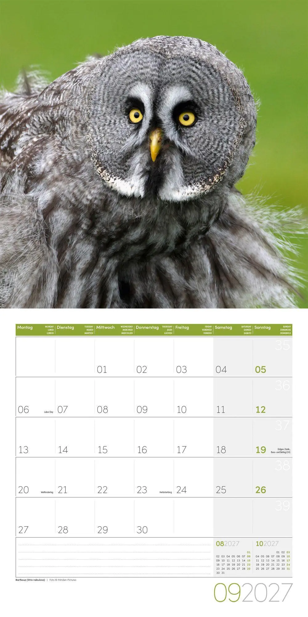 Bild: 9783838447247 | Eulen Kalender 2027 - 30x30 - Art12 | Ackermann Kunstverlag GmbH