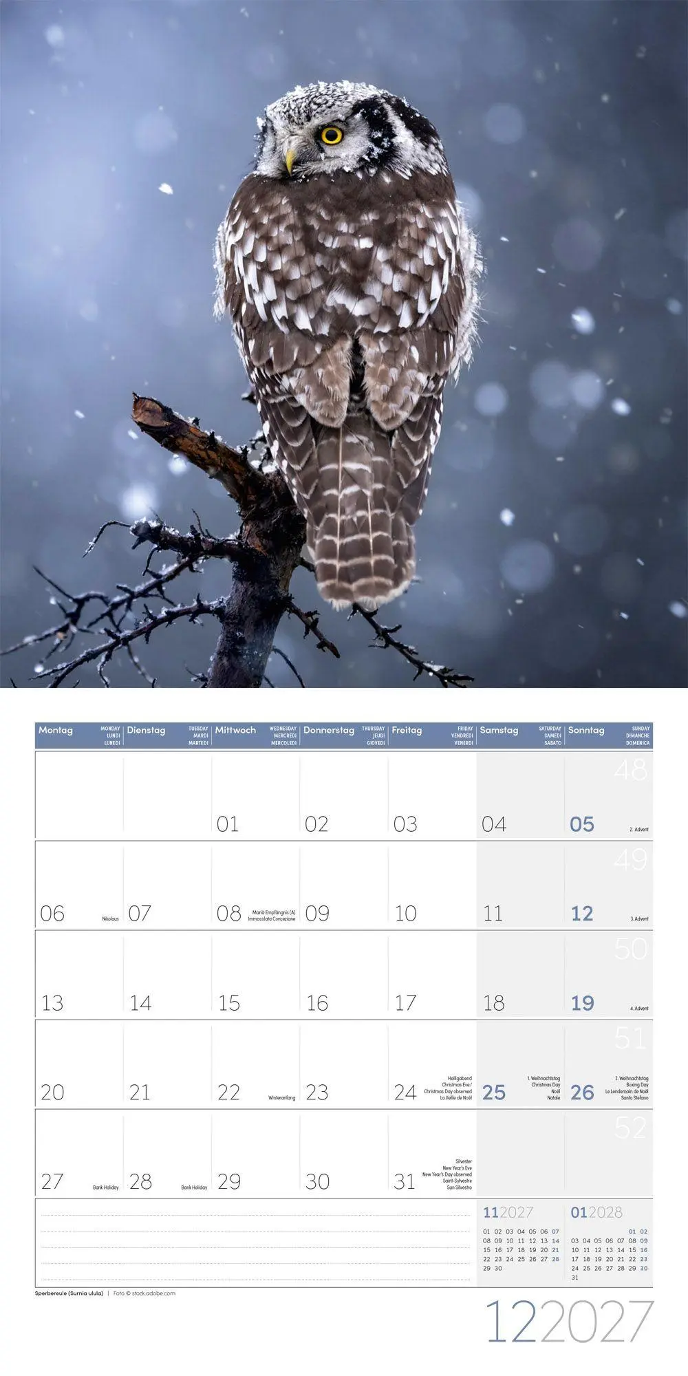 Bild: 9783838447247 | Eulen Kalender 2027 - 30x30 - Art12 | Ackermann Kunstverlag GmbH