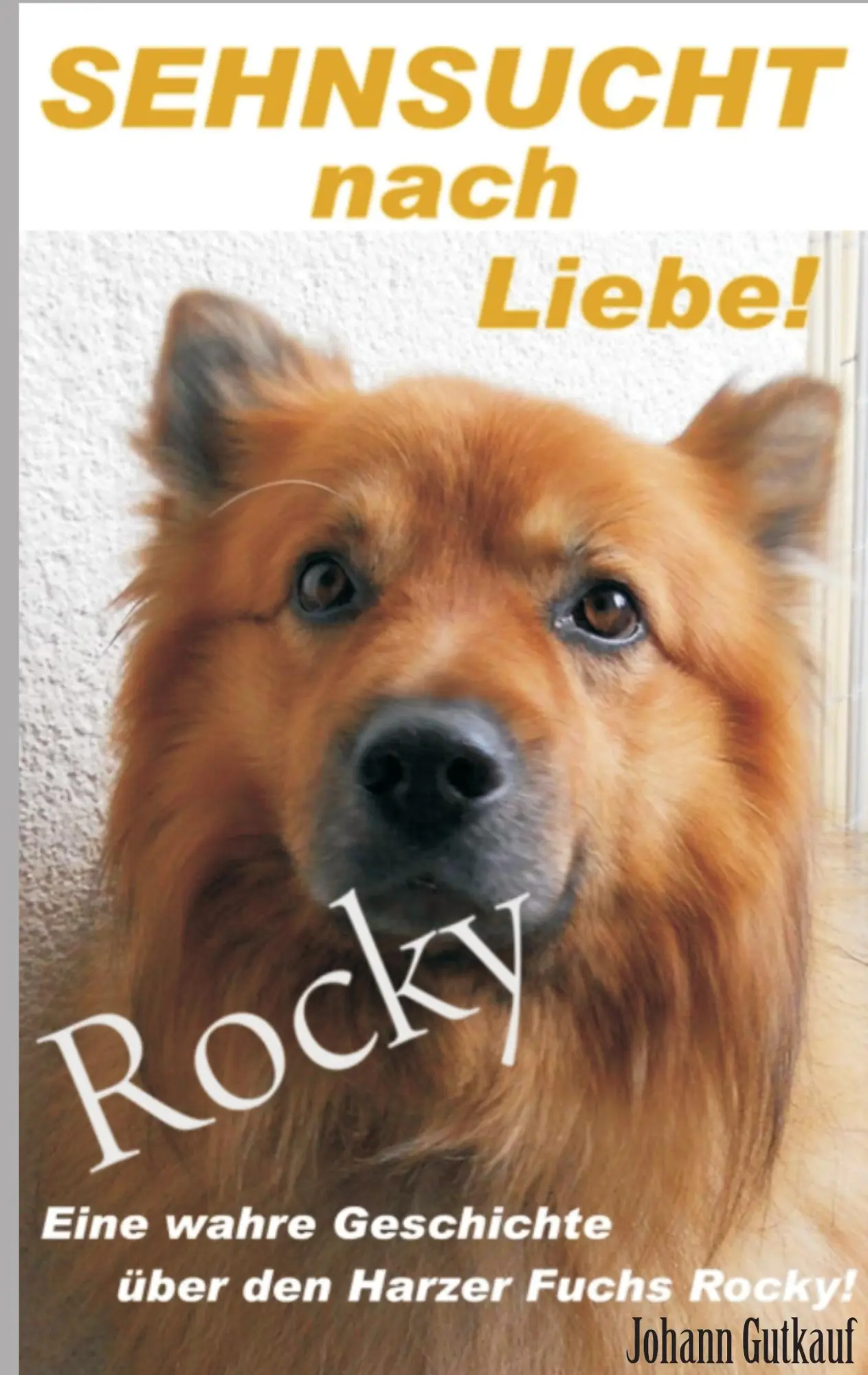 Cover: 9783735787347 | Sehnsucht nach Liebe! | Johann Gutkauf | Taschenbuch | 100 S. | 2014