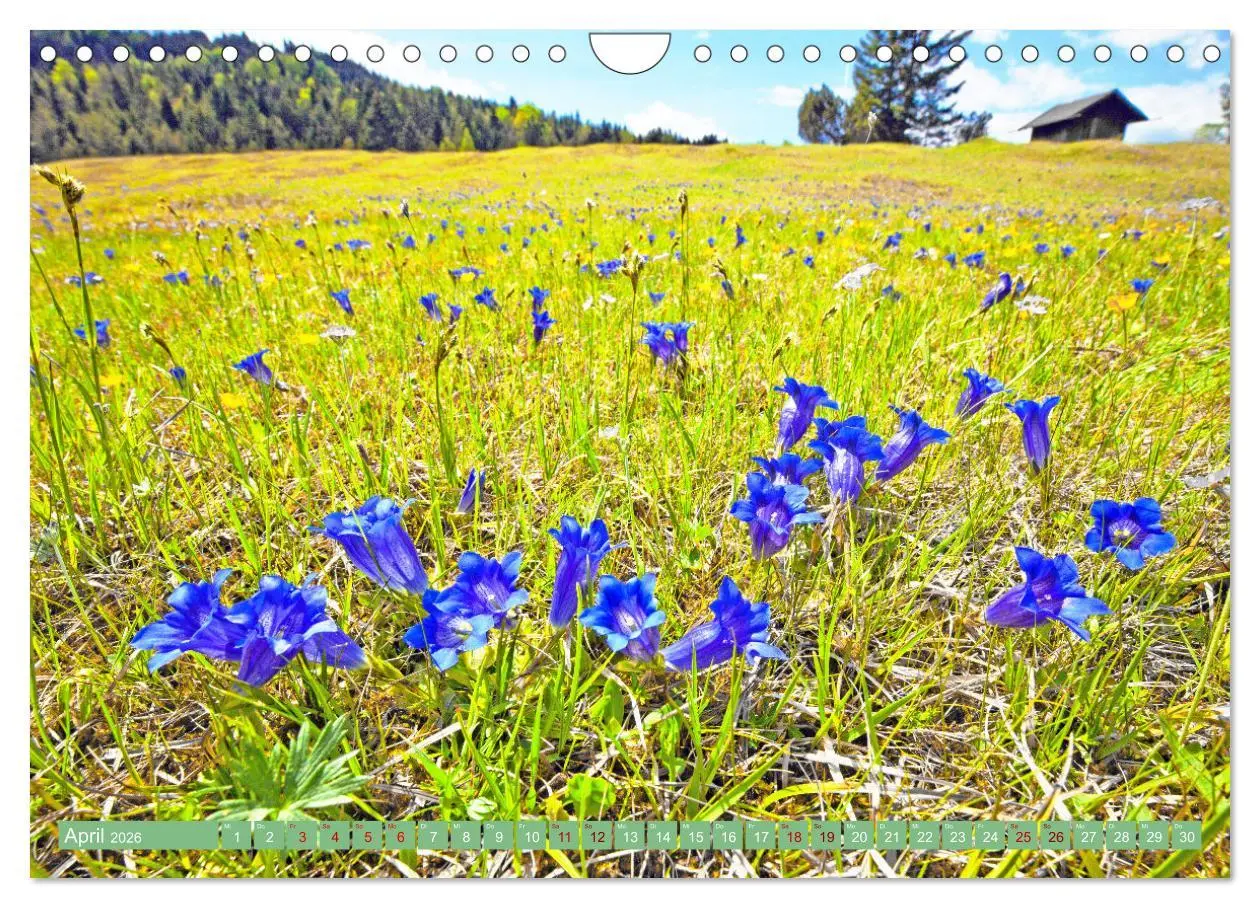 Bild: 9783457337547 | Rund um Mittenwald (Wandkalender 2026 DIN A4 quer), CALVENDO...