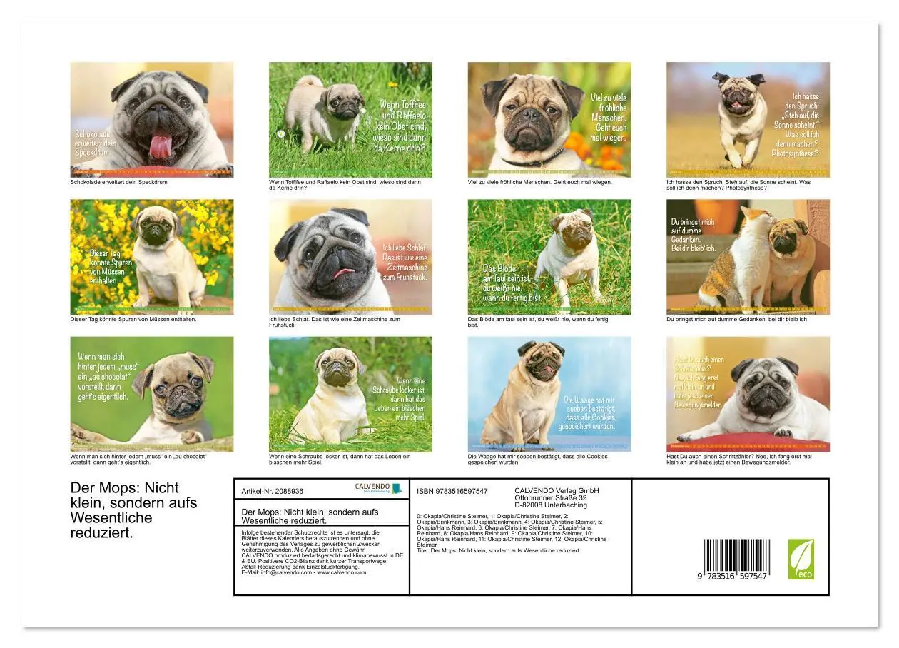 Bild: 9783516597547 | Der Mops: Nicht klein, sondern aufs Wesentliche reduziert....