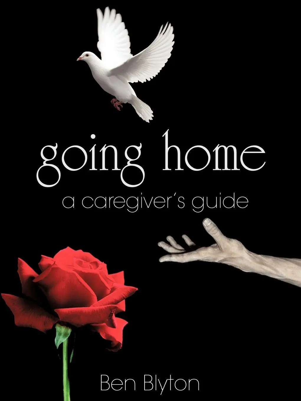 Cover: 9781452027647 | going home | a caregiver's guide | Ben Blyton | Taschenbuch | Englisch
