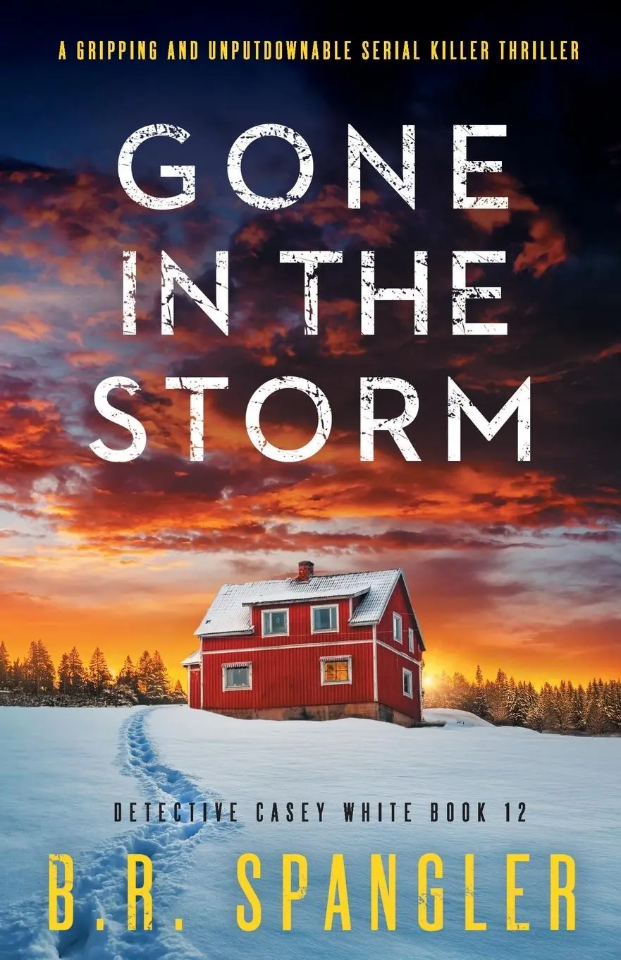 Cover: 9781835257647 | Gone in the Storm | B. R. Spangler | Taschenbuch | Englisch | 2025