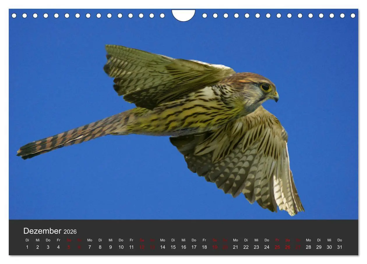 Bild: 9783457877647 | Faszination der Greifvögel und Geier (Wandkalender 2026 DIN A4...