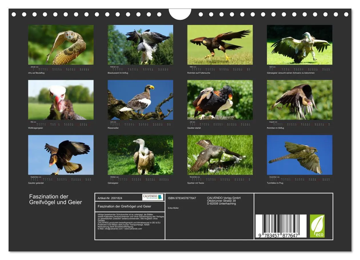 Bild: 9783457877647 | Faszination der Greifvögel und Geier (Wandkalender 2026 DIN A4...