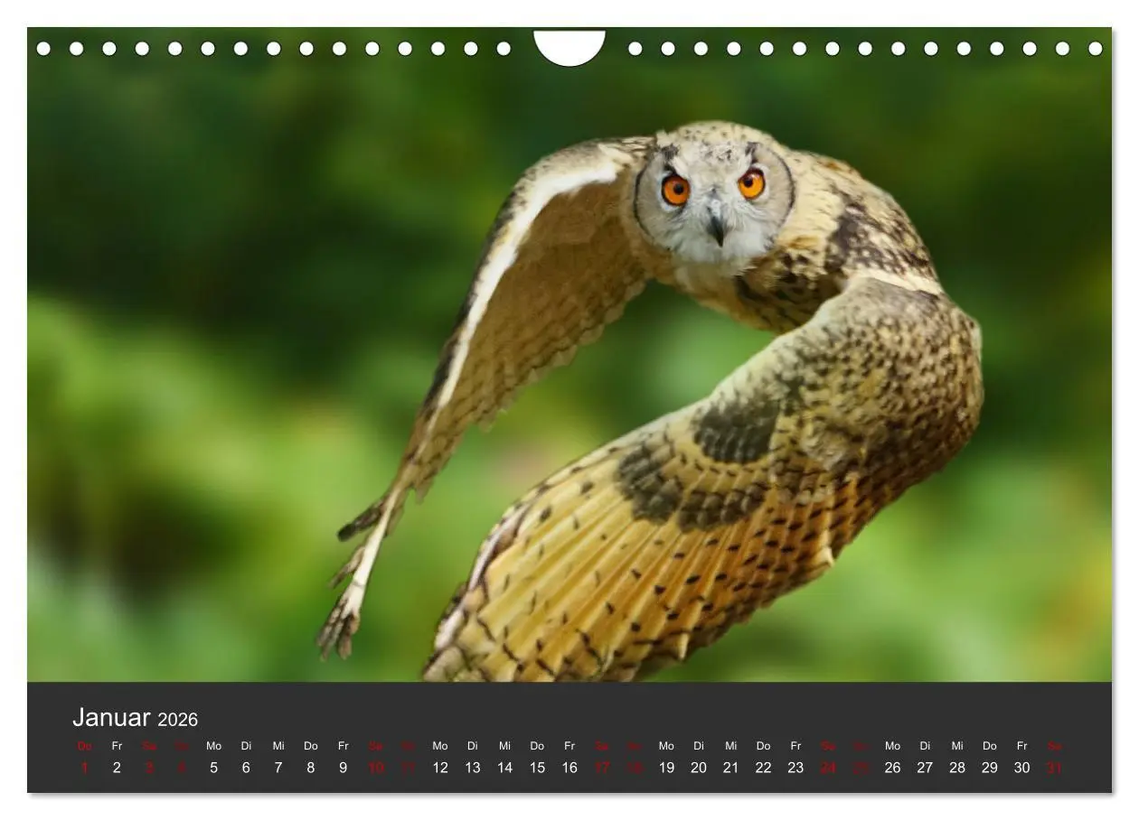 Bild: 9783457877647 | Faszination der Greifvögel und Geier (Wandkalender 2026 DIN A4...