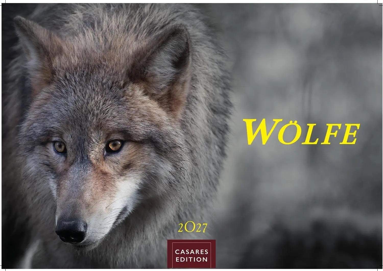 Cover: 9781835247747 | Wölfe Kalender 2027 - Wandkalender Fotokalender Tierkalender...