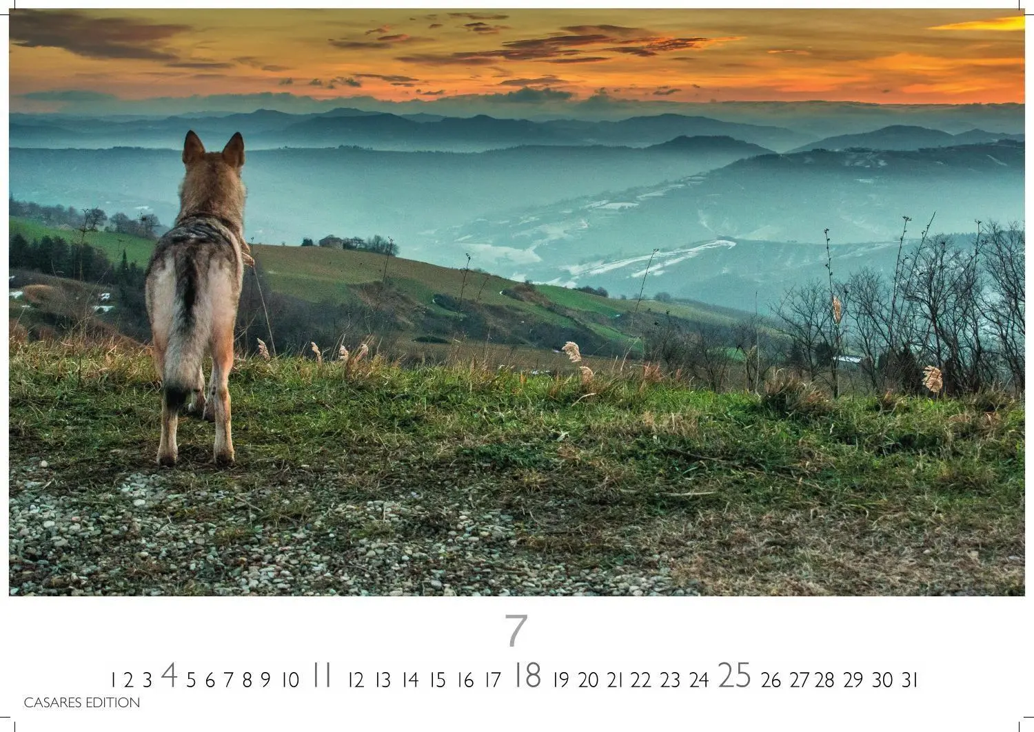 Bild: 9781835247747 | Wölfe Kalender 2027 - Wandkalender Fotokalender Tierkalender...