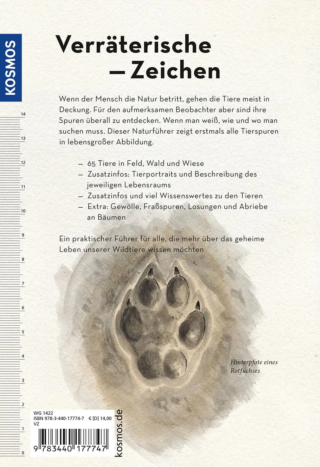 Rückseite: 9783440177747 | Tierspuren lebensgroß | 50 Tierspuren und wer sie hinterlässt | Hecker