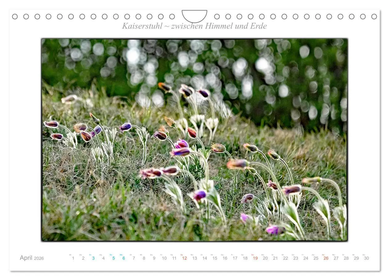 Bild: 9783457797747 | Kaiserstuhl zwischen Himmel und Erde (Wandkalender 2026 DIN A4...