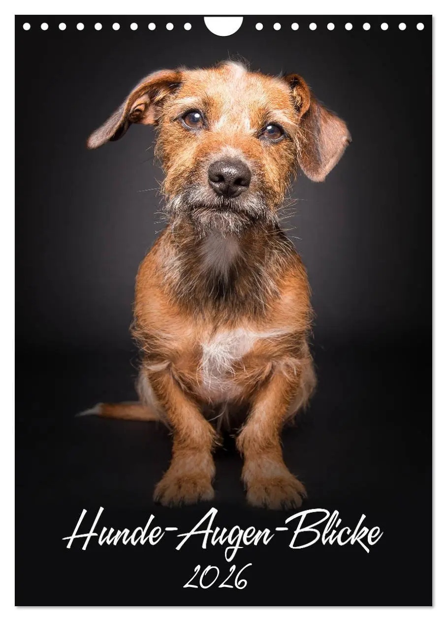 Cover: 9783516407747 | Hunde-Augen-Blicke (Wandkalender 2026 DIN A4 hoch), CALVENDO...