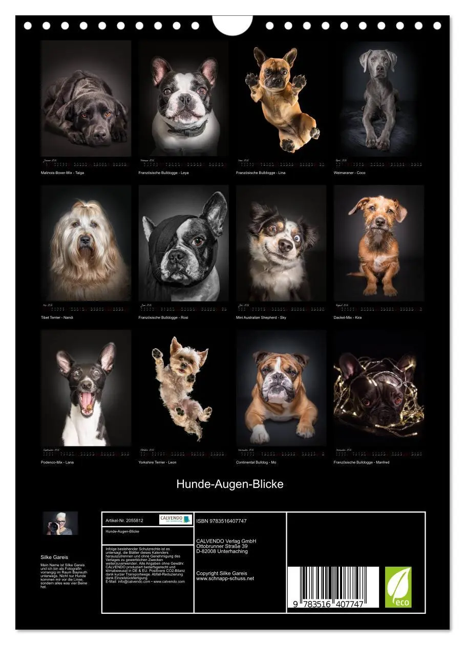 Bild: 9783516407747 | Hunde-Augen-Blicke (Wandkalender 2026 DIN A4 hoch), CALVENDO...