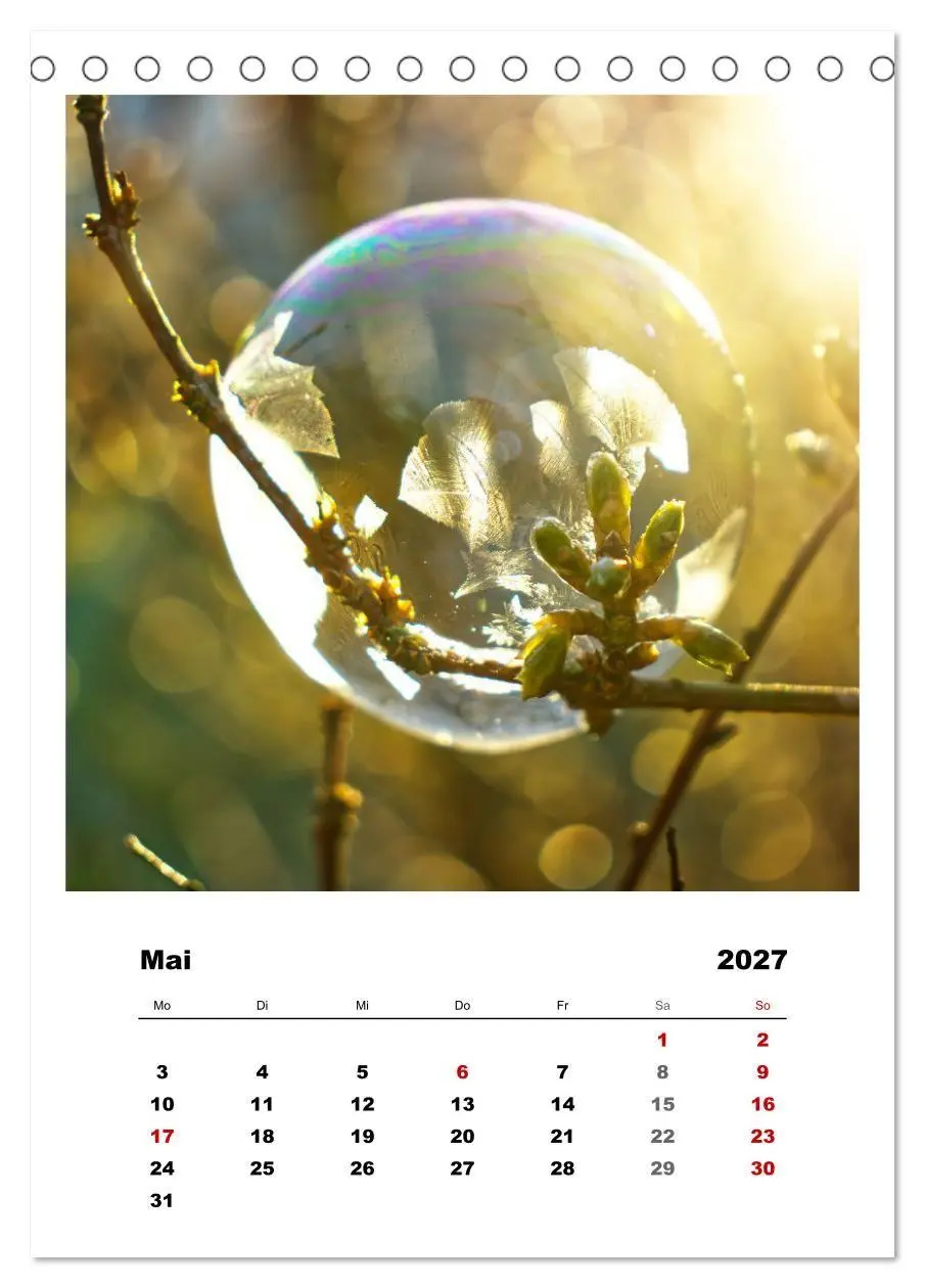 Bild: 9783569417847 | Frostige Seifenblasen (Tischkalender 2027 DIN A5 hoch), CALVENDO...