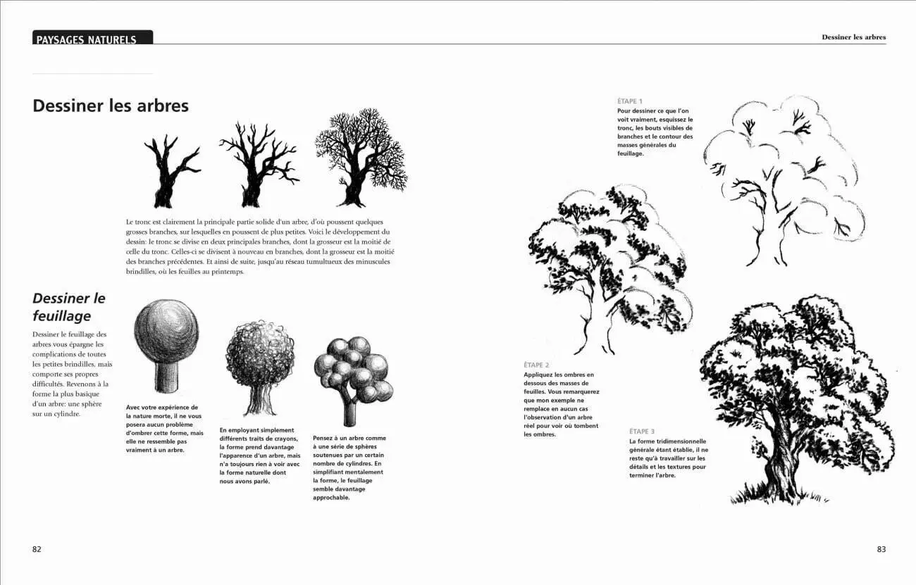 Bild: 9783822857847 | Zeichnen lernen | Peter Gray | Taschenbuch | 304 S. | Deutsch | 2018