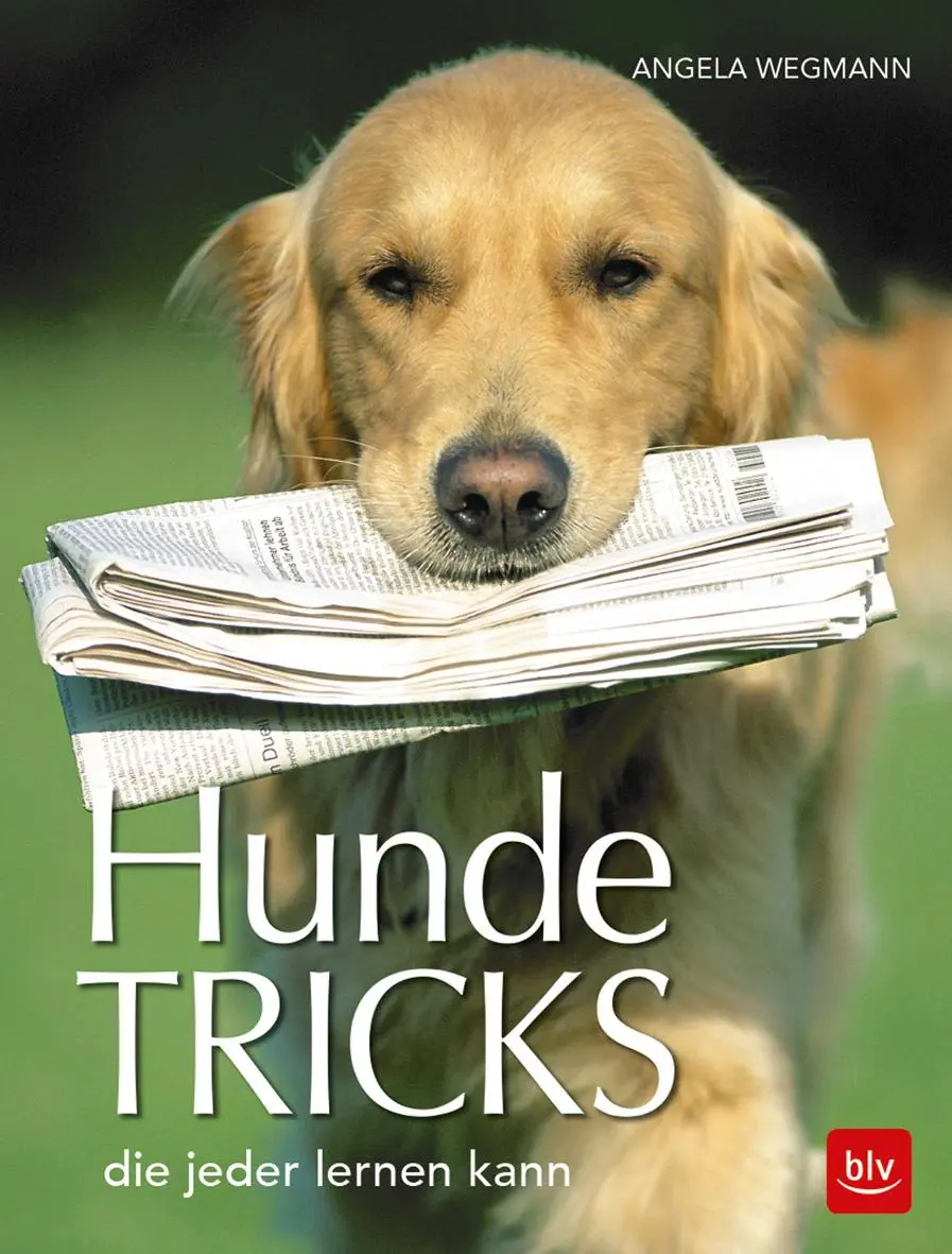 Cover: 9783835417847 | Hundetricks | die jeder lernen kann | Angela Wegmann | Taschenbuch
