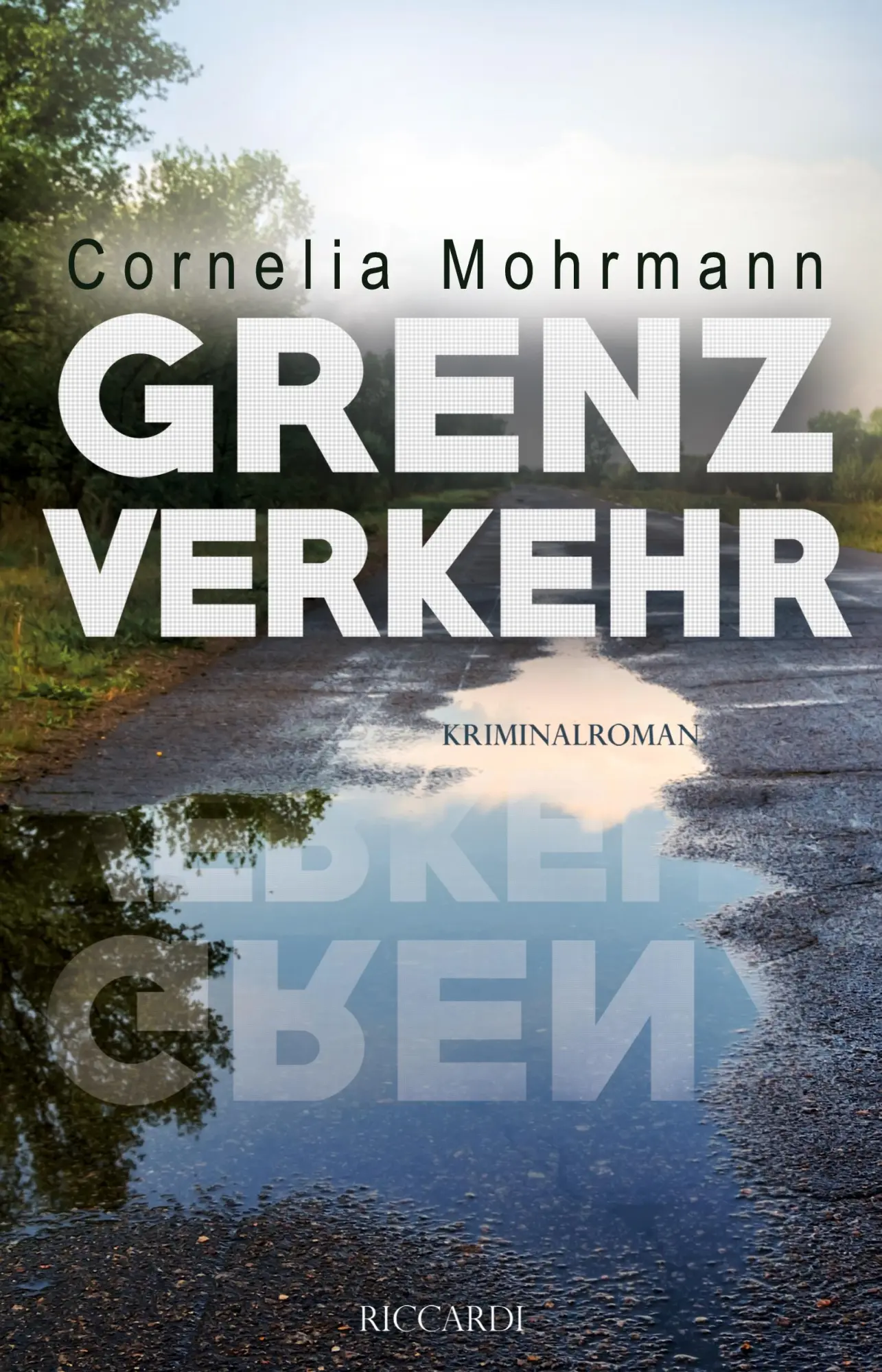 Cover: 9783954527847 | Grenzverkehr | Cornelia Mohrmann | Taschenbuch | Paperback | 422 S.