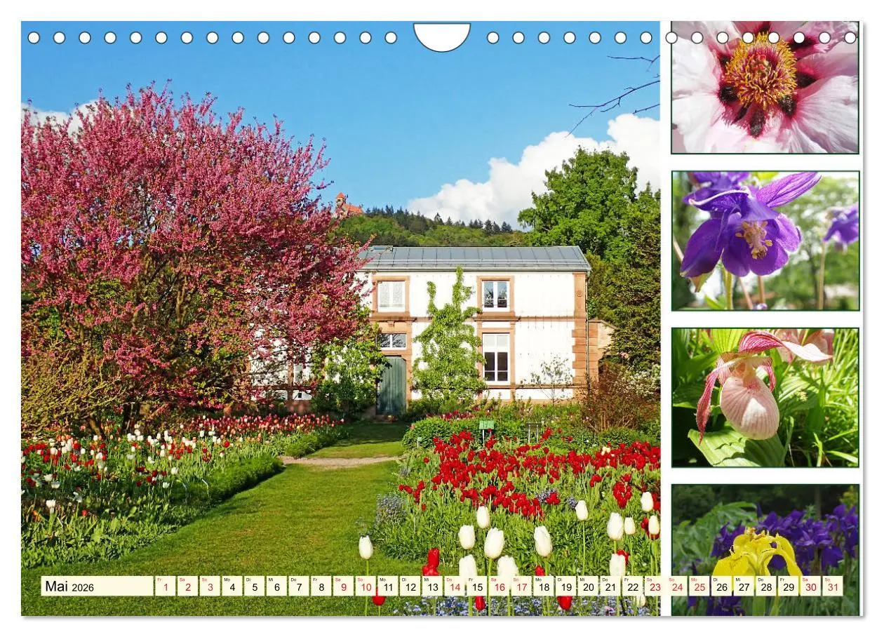 Bild: 9783457917947 | Im Hermannshof - Ein Traumgarten in Weinheim (Wandkalender 2026 DIN...