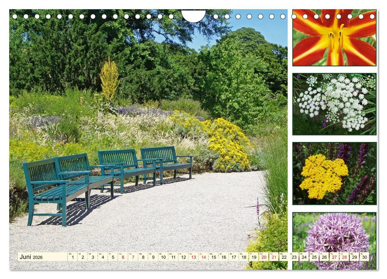 Bild: 9783457917947 | Im Hermannshof - Ein Traumgarten in Weinheim (Wandkalender 2026 DIN...