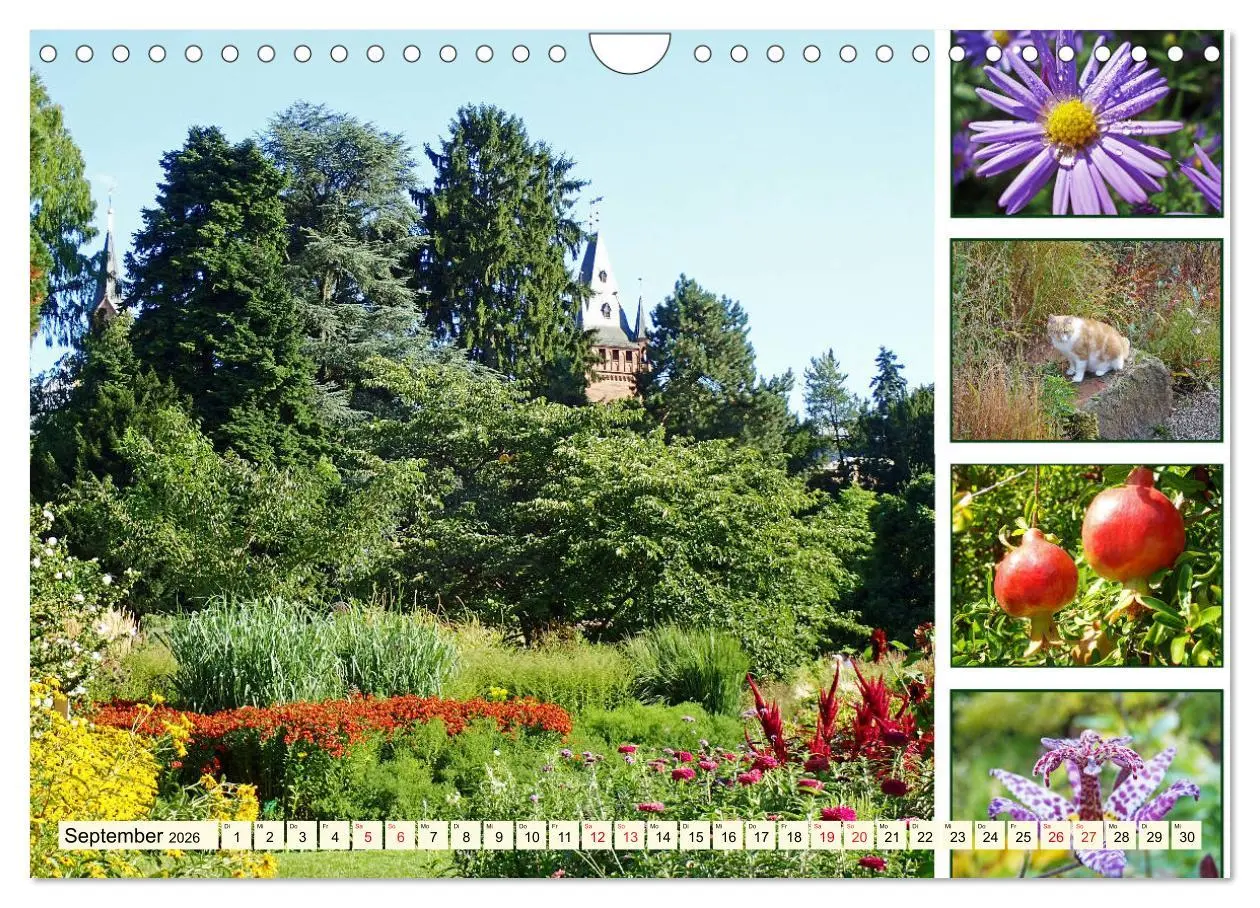 Bild: 9783457917947 | Im Hermannshof - Ein Traumgarten in Weinheim (Wandkalender 2026 DIN...