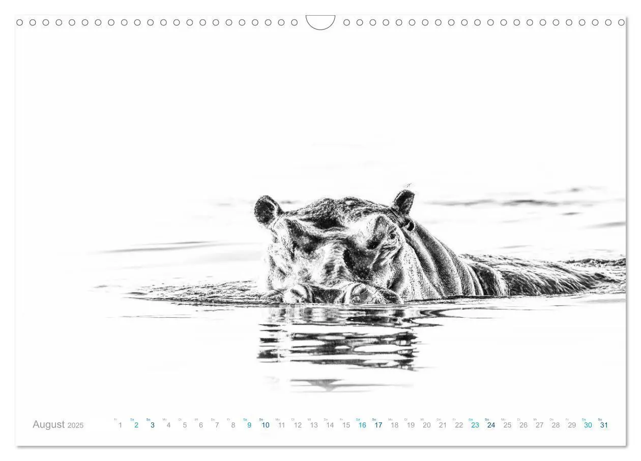 Bild: 9783435268047 | AFRIKA - Schwarz-weiss Fotografien im modernen "High Key" Look...