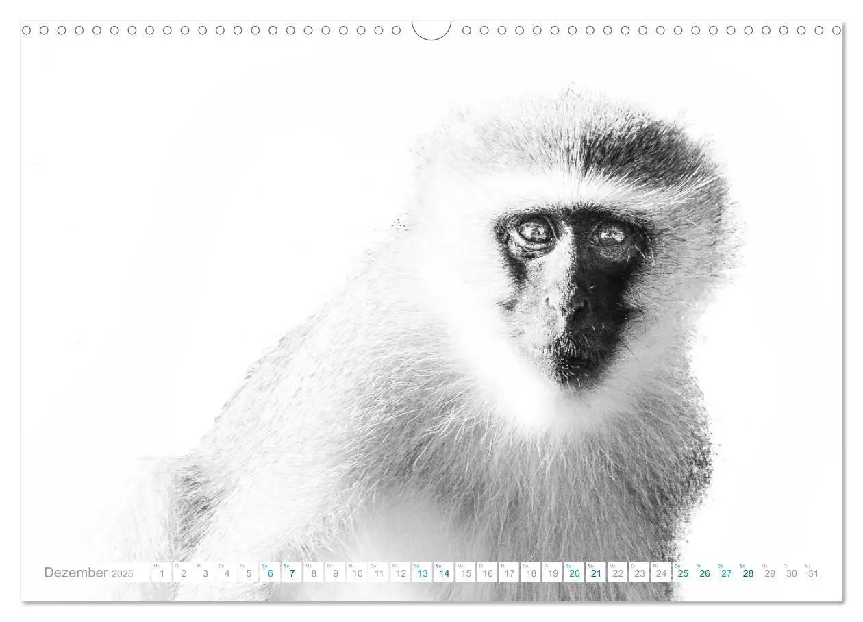 Bild: 9783435268047 | AFRIKA - Schwarz-weiss Fotografien im modernen "High Key" Look...