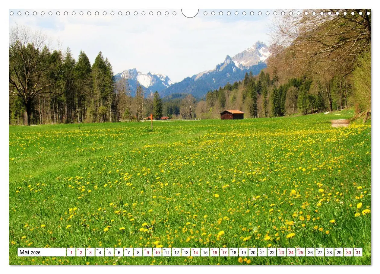 Bild: 9783457598047 | Das Graswangtal (Wandkalender 2026 DIN A3 quer), CALVENDO...
