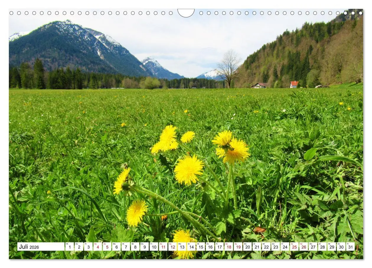 Bild: 9783457598047 | Das Graswangtal (Wandkalender 2026 DIN A3 quer), CALVENDO...