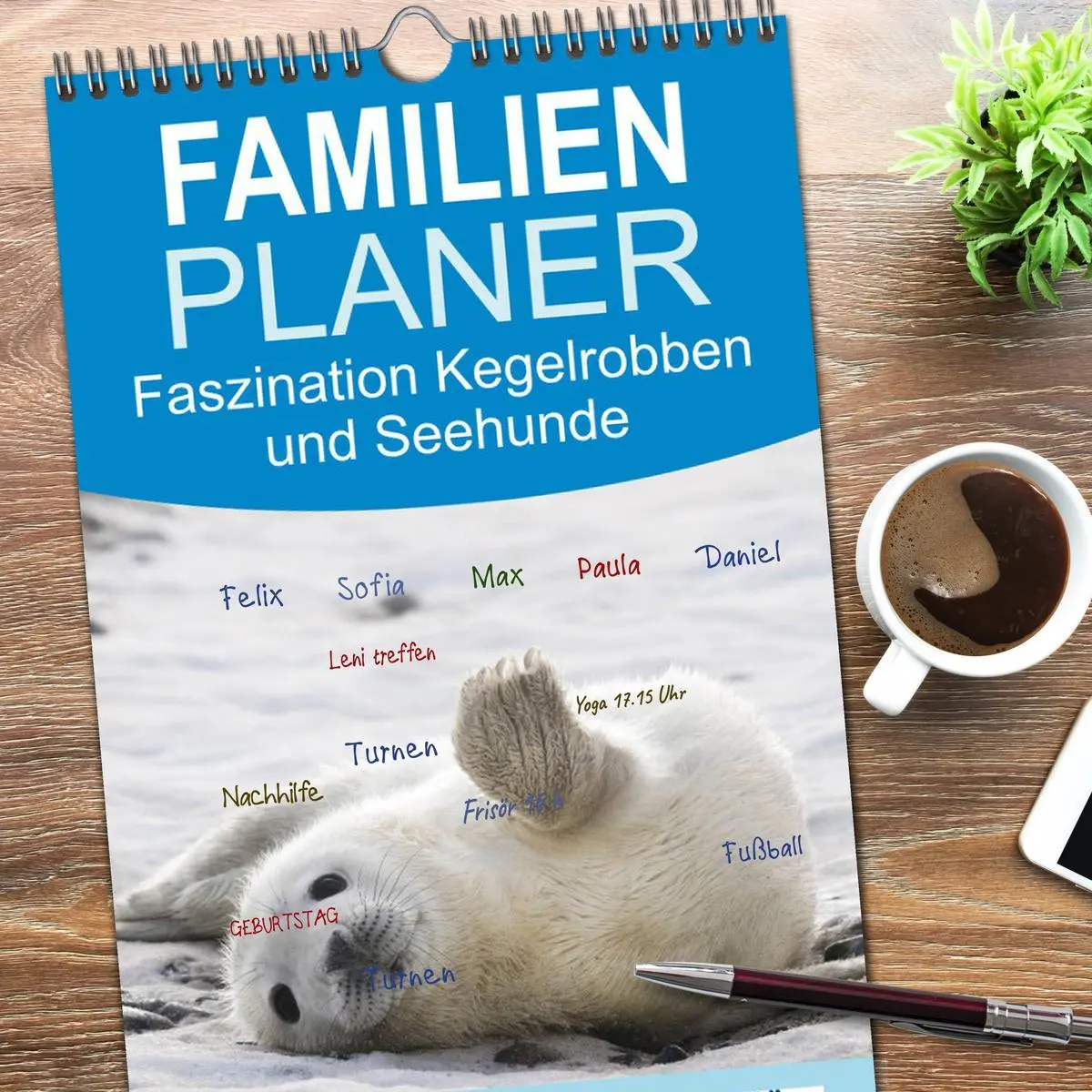 Bild: 9783516518047 | Familienplaner 2026 - Faszination Kegelrobben und Seehunde mit 5...