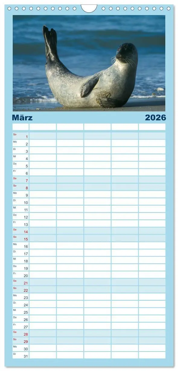 Bild: 9783516518047 | Familienplaner 2026 - Faszination Kegelrobben und Seehunde mit 5...