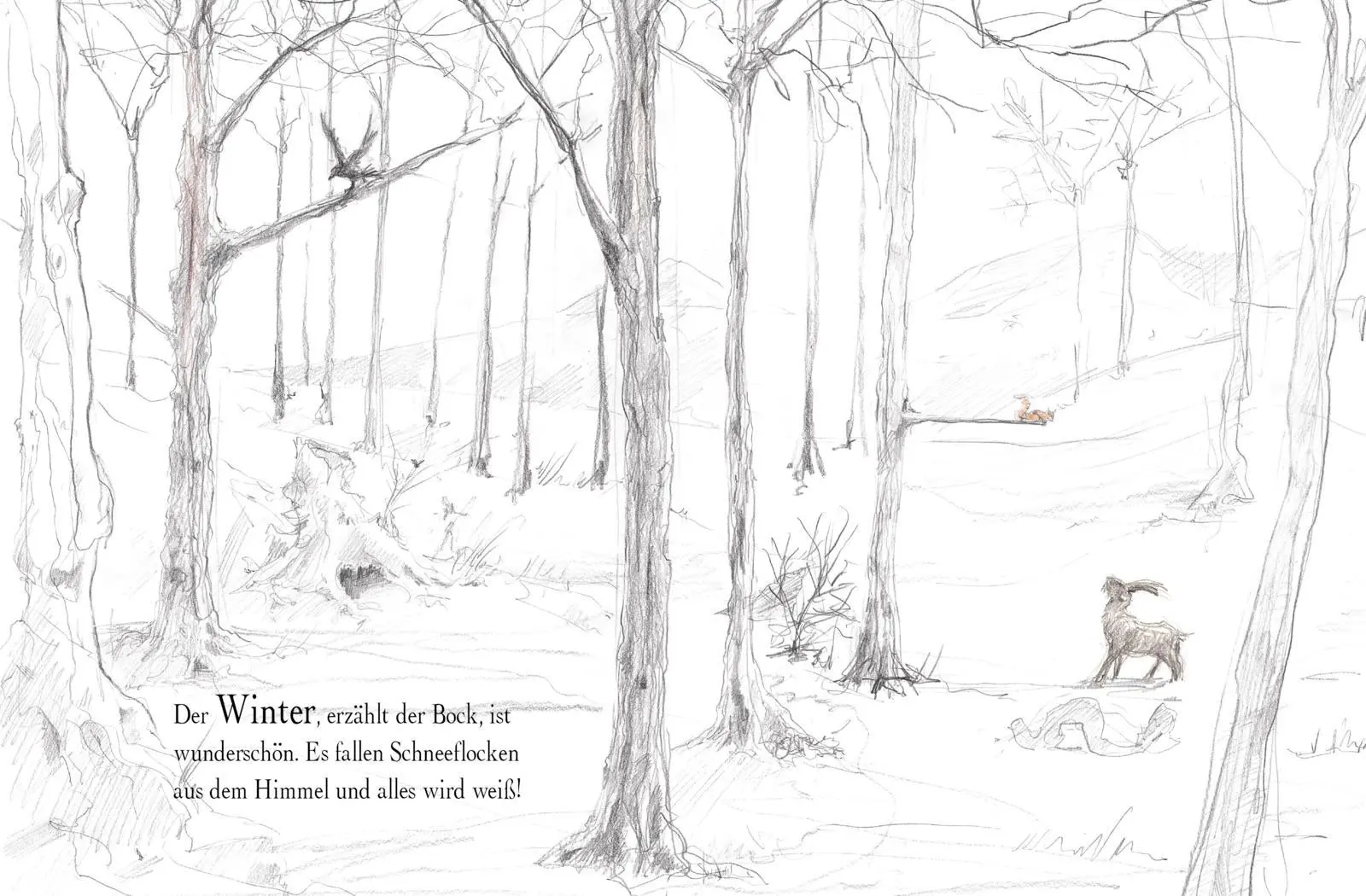 Bild: 9783522458047 | Herr Eichhorn und der erste Schnee | Sebastian Meschenmoser | Buch