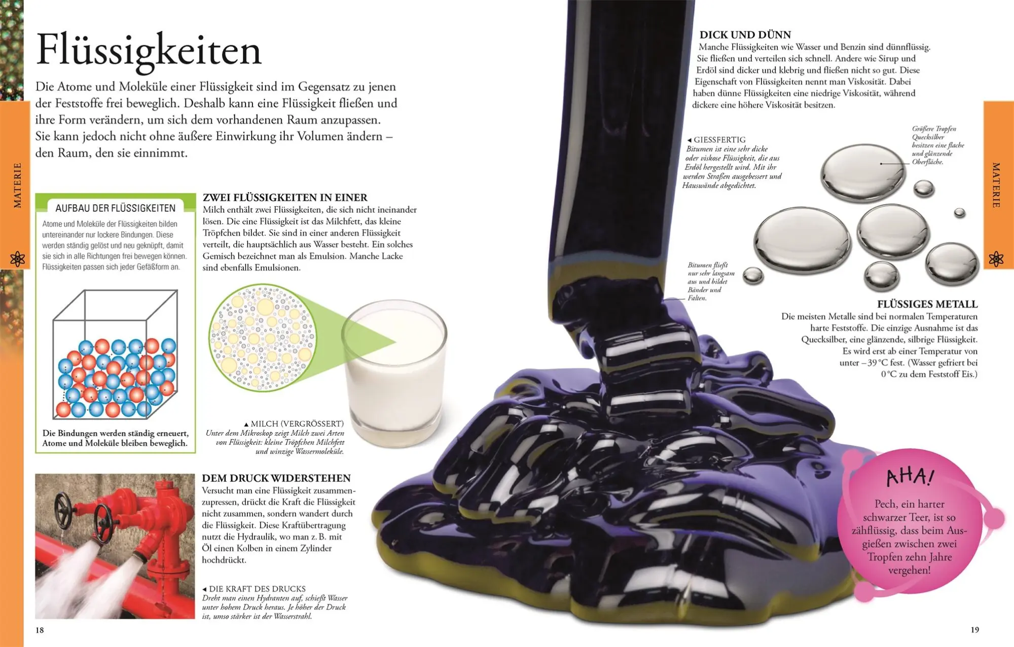 Bild: 9783831028047 | Naturwissenschaften für clevere Kids | DK Verlag - Kids | Buch | 2015