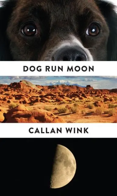Cover: 9781847088147 | Dog Run Moon | Stories | Callan Wink | Taschenbuch | 240 S. | Englisch