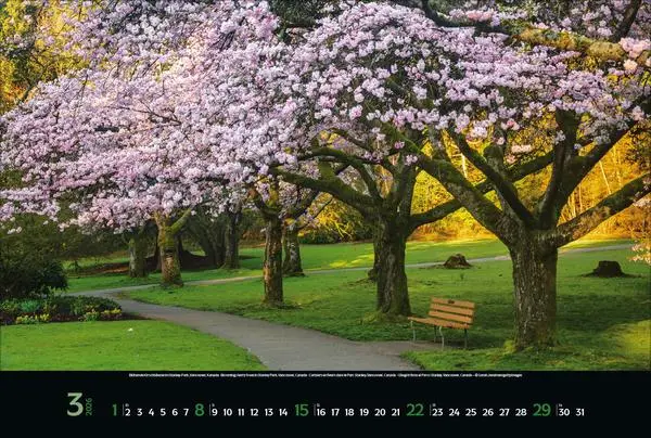 Bild: 9783731888147 | Colourful Seasons 2026 | Verlag Korsch | Kalender | 14 S. | Deutsch
