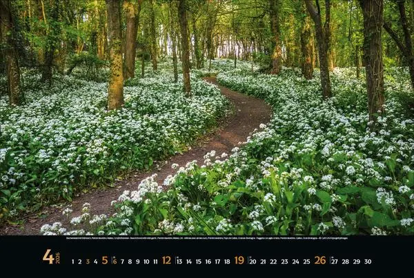 Bild: 9783731888147 | Colourful Seasons 2026 | Verlag Korsch | Kalender | 14 S. | Deutsch
