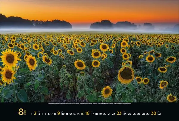 Bild: 9783731888147 | Colourful Seasons 2026 | Verlag Korsch | Kalender | 14 S. | Deutsch