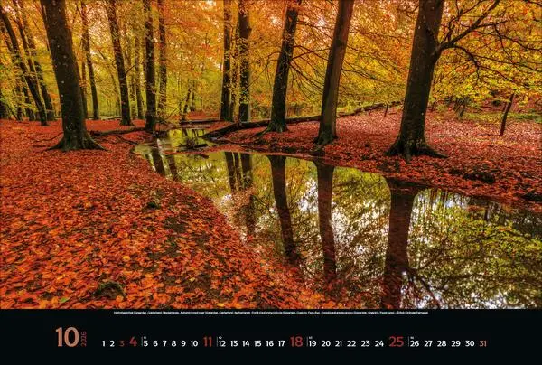 Bild: 9783731888147 | Colourful Seasons 2026 | Verlag Korsch | Kalender | 14 S. | Deutsch