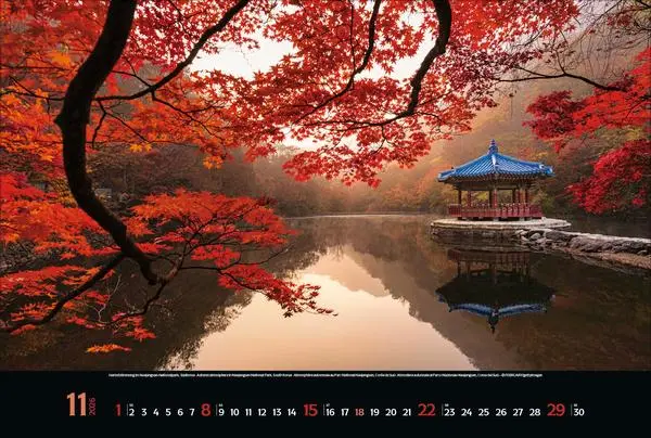 Bild: 9783731888147 | Colourful Seasons 2026 | Verlag Korsch | Kalender | 14 S. | Deutsch