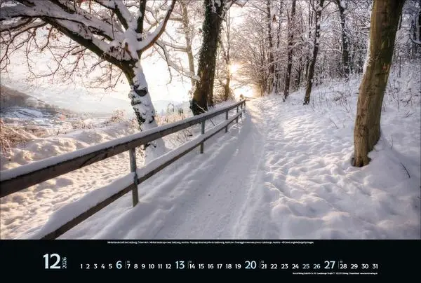 Bild: 9783731888147 | Colourful Seasons 2026 | Verlag Korsch | Kalender | 14 S. | Deutsch