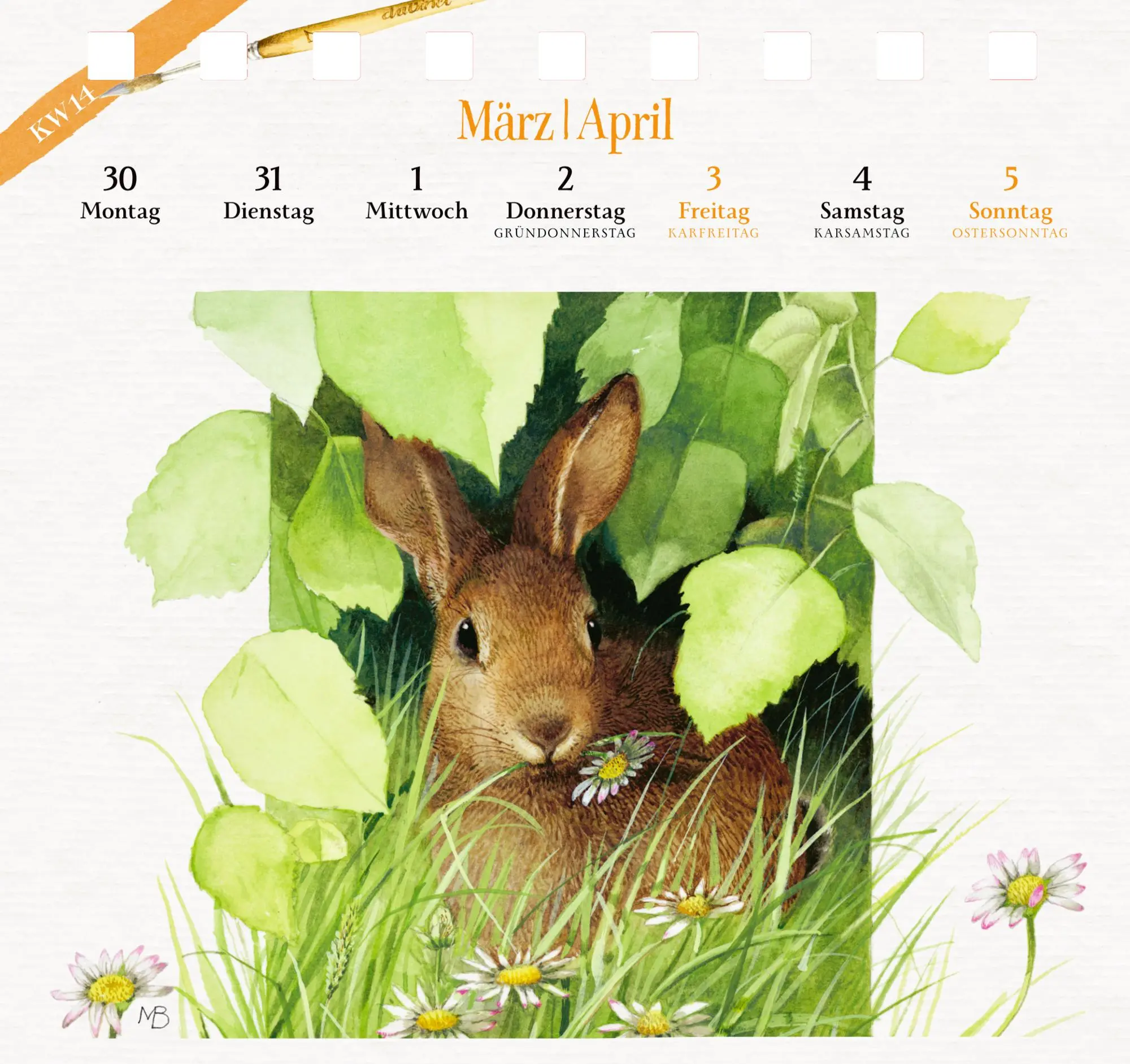 Bild: 4050003958347 | Kalender mit 53 Postkarten 2026 - Spaziergang durch die Natur | Bastin